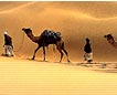 Indian tour operator and travel agents, India tours, heritage tours, package tours India, travel agents, tour opeartors